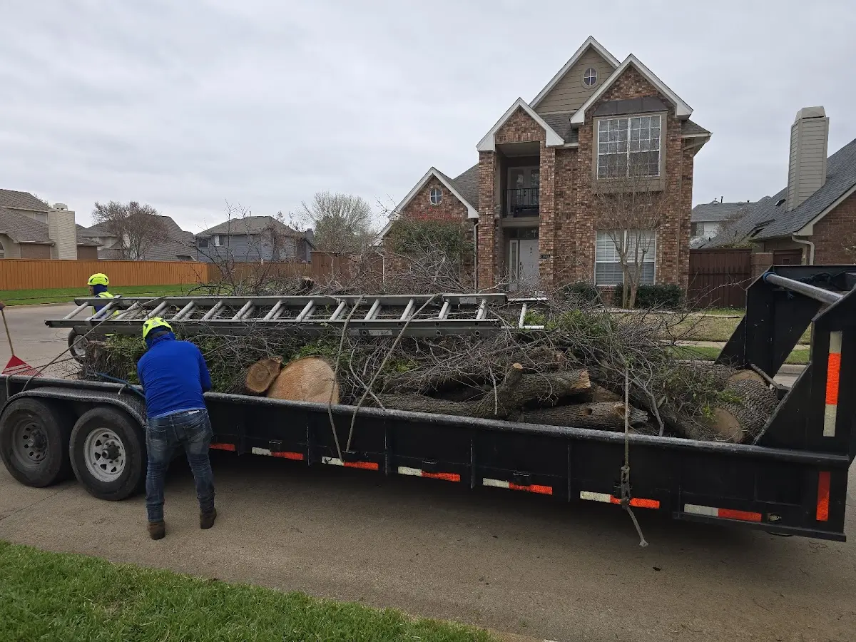 Expert Tree Pest Control with proper safety equipment in Ponte Vedra Beach